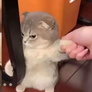 paint the town red (sped up)