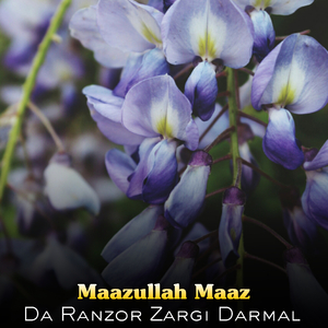 Sta Da Khole Khabare De Spini Malghalare De