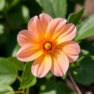 イエスは私のヒーローです