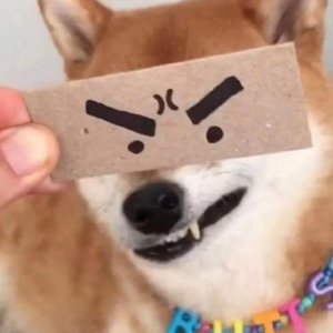 当关心变成打扰