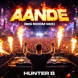 AANDE