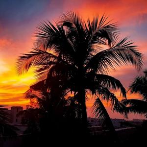 Не твой уровень дорогой