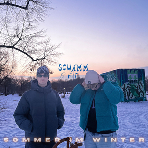 Sommer Im Winter
