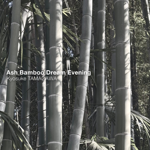 Ash Bamboo Dream Evening