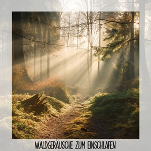 Waldklänge
