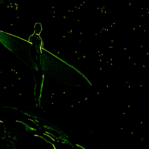 Life Surfer sTYLE