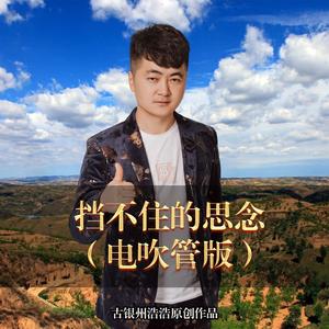 挡不住的思念 (电吹管唢呐版)