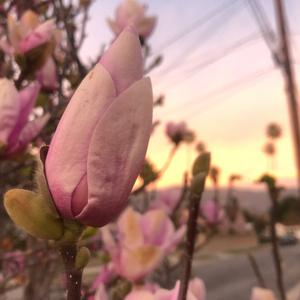 I'm Tye Dye (2022) (Demo)