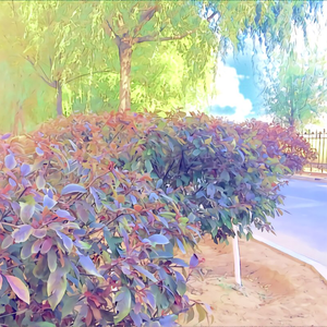 梦中的婚礼（吉他纯音乐）