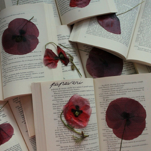 PAPAVERI