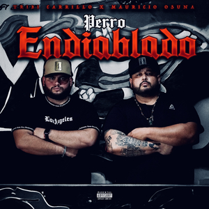 Perro Endiablado