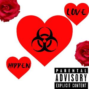 Hidden Love