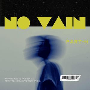 No Vain (feat. ROOHAAN)