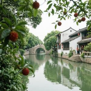 荔枝湾