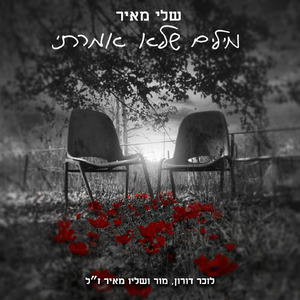 מילים שלא אמרתי