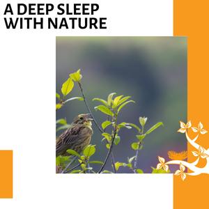 Golden Stream Stones