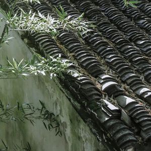 【Free】BambooChinese Type beat