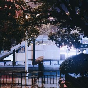 雨中独处