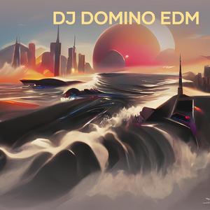 Dj Domino Edm (Remix)