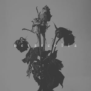 Tarja Preta (Sem Receita)