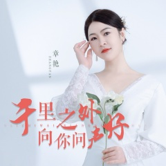 千里之外向你问声好 (DJ月之歌版)