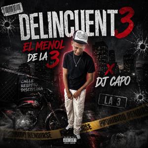 DELINCUENTE