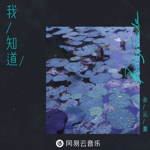 我知道（孙云灏版）