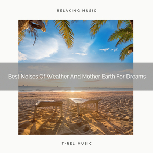 Beautiful Noises Of Waves And Animals For Ultra Absolute Recharge