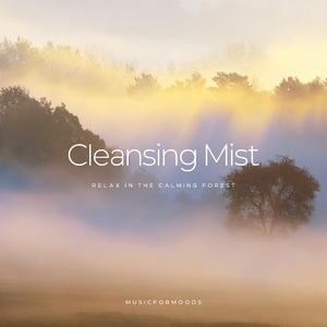Cleansing Mist: Relax in the Calming Forest