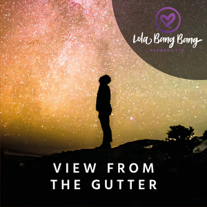 View from the Gutter