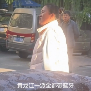 黄龙江一派全都带蓝牙