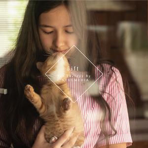 Hello First Love (Lullaby Music Box)