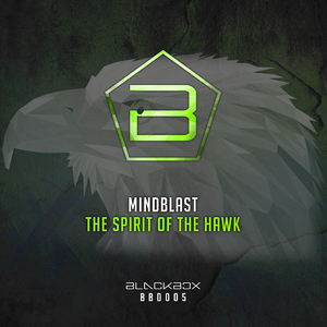 The Spirit Of The Hawk (Radio Edit)