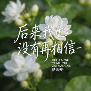 后来我也没有再相信（原版）