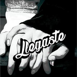 Llegaste