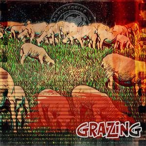 Grazing
