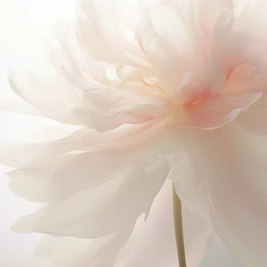 流年（翻自 王菲）