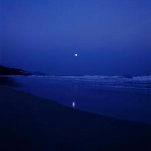 世间难有常青树