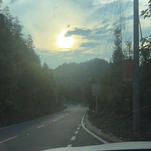 落樱缤纷
