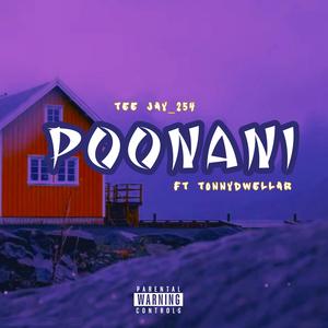 POONANI (feat. TonnyDwellar)