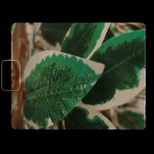 Coalescence