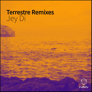 Terrestre (Remix)
