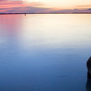 被这个世界骗到想结婚