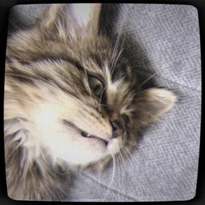 위로받을 누군가에게