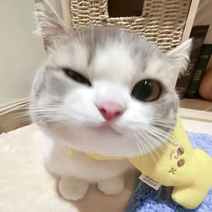 淋雨一直走＆One time-Remix