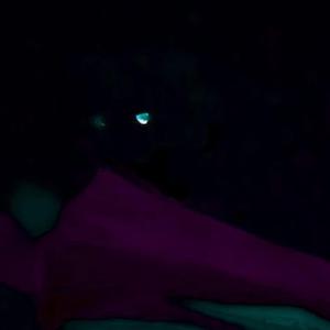 DAMNIMHIM (feat. tori)