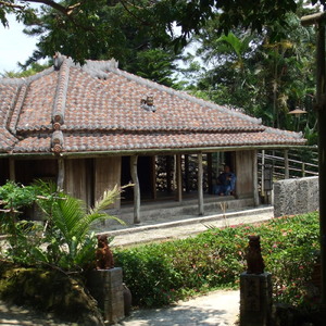 三線の花 (Cover)