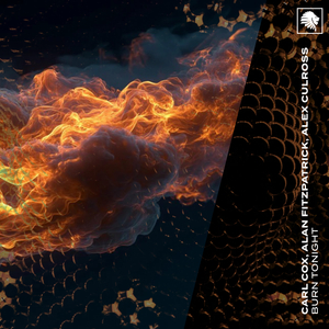 Burn Tonight (Extended Mix)
