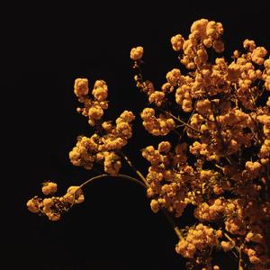 无（Prod.Lakewavebeatz）