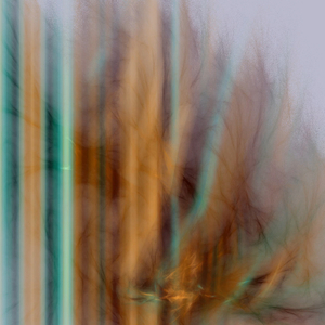 鱗粉は零れ流星群となる